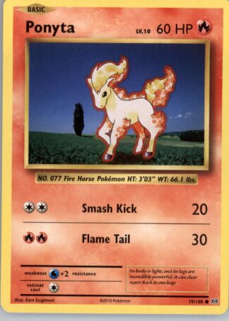 Ponyta XY - Evolutions 19/108